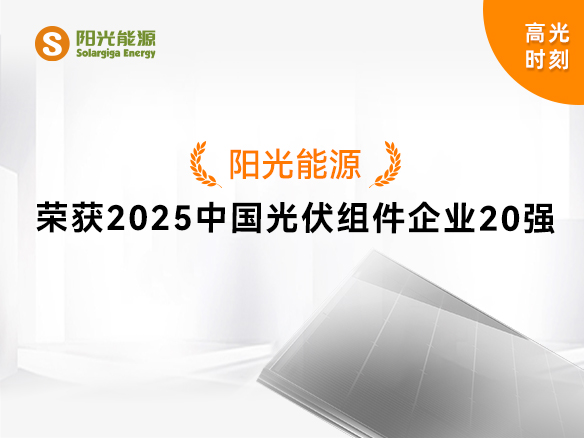 高光時刻 | 陽光能源實力登榜“2025中國光伏組件企業20強”